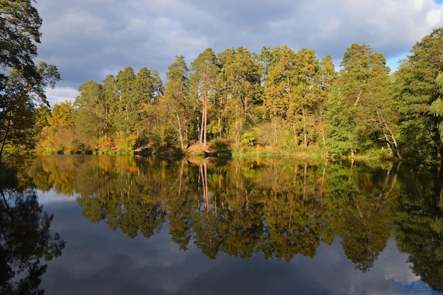 Spiegelung von Bäumen im ruhigen See gegen den Himmel