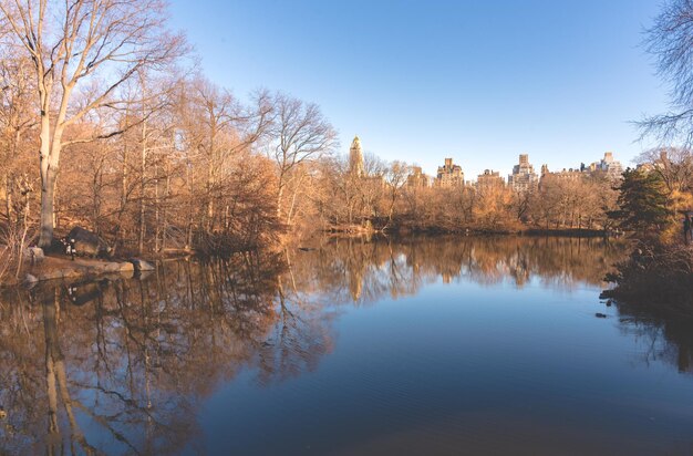 Foto spiegelung von bäumen im see gegen den himmel im herbst