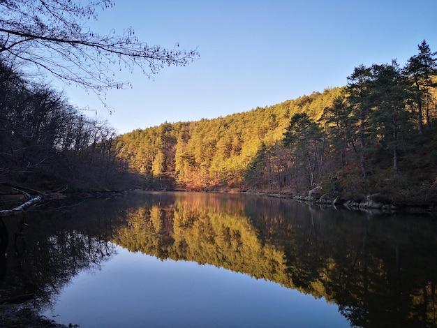 Foto spiegelung von bäumen im see gegen den himmel im herbst