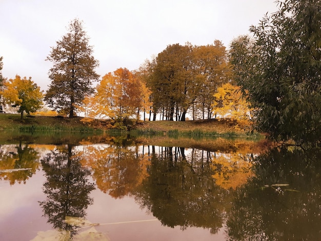 Foto spiegelung von bäumen im see gegen den himmel im herbst