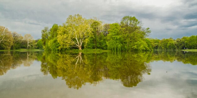 Foto spiegelung von bäumen im see gegen den himmel