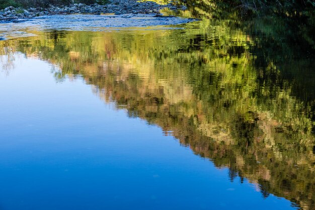 Foto spiegelung von bäumen im see gegen den himmel