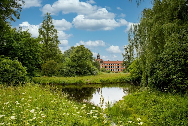 Spiegelung von Bäumen im See gegen den Himmel