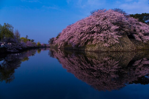 Foto spiegelung von bäumen im see gegen den himmel