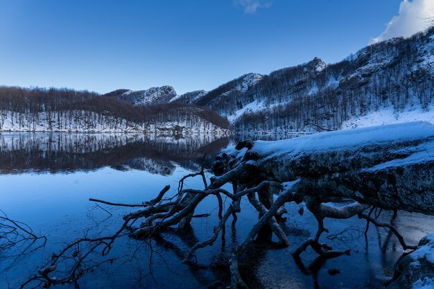 Foto spiegelungen des sees