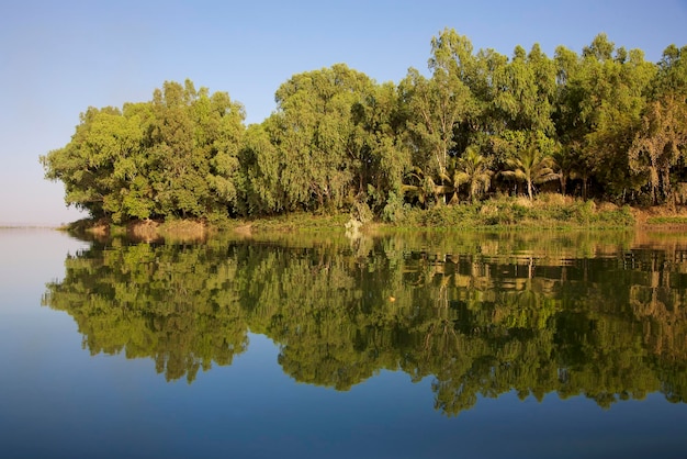 Spiegelungen im Fluss