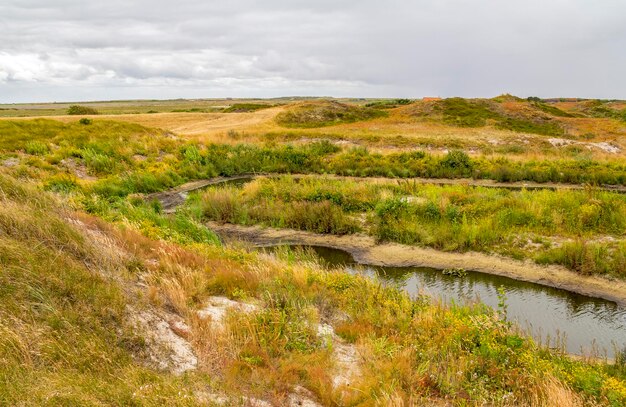 Foto spiekeroog en el este de frisia