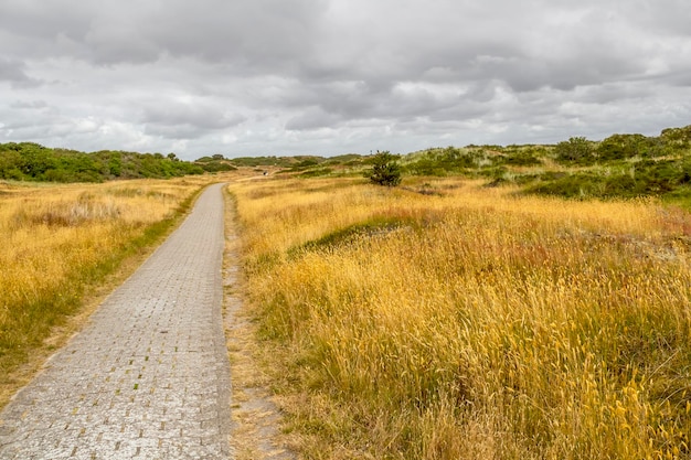 Foto spiekeroog en el este de frisia