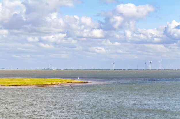 Foto spiekeroog en el este de frisia