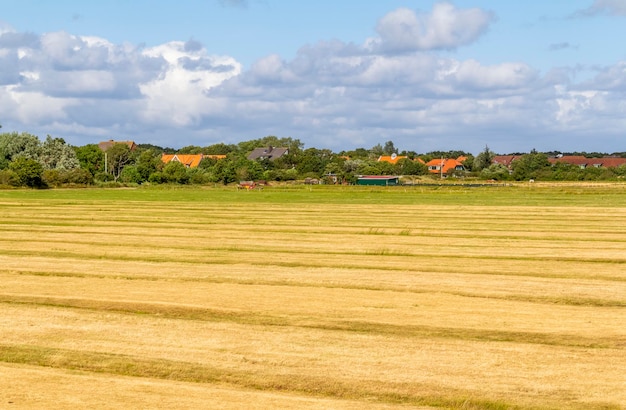 Foto spiekeroog en el este de frisia