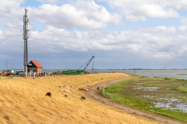 Foto spiekeroog en el este de frisia