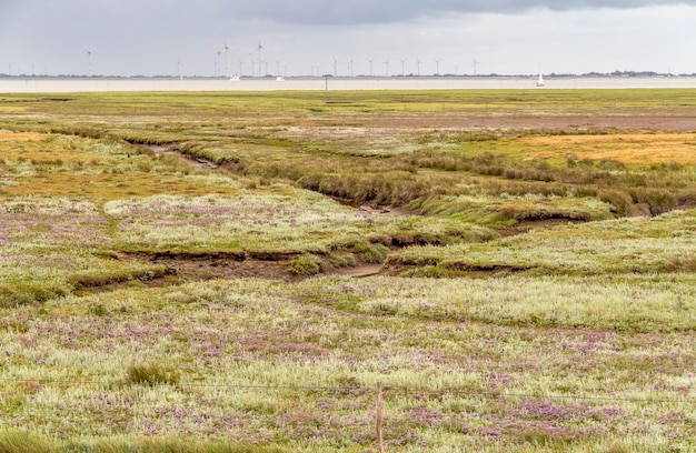 Spiekeroog in Ostfriesland