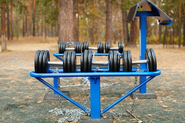 Foto spielplatz im freien im wald, hanteln