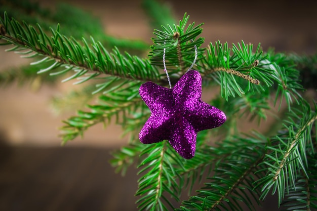 Spielzeug auf dem Weihnachtsbaumast