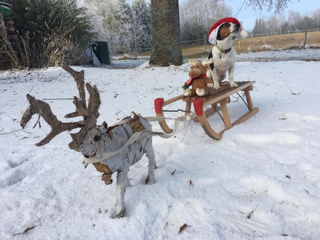 Foto spielzeug auf einem schneebedeckten feld