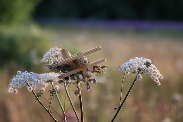 Spielzeugflugzeug aus Holz