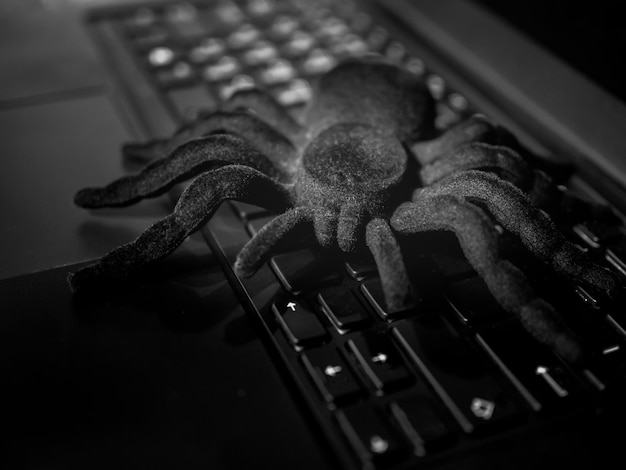 Spinne auf der Computertastatur