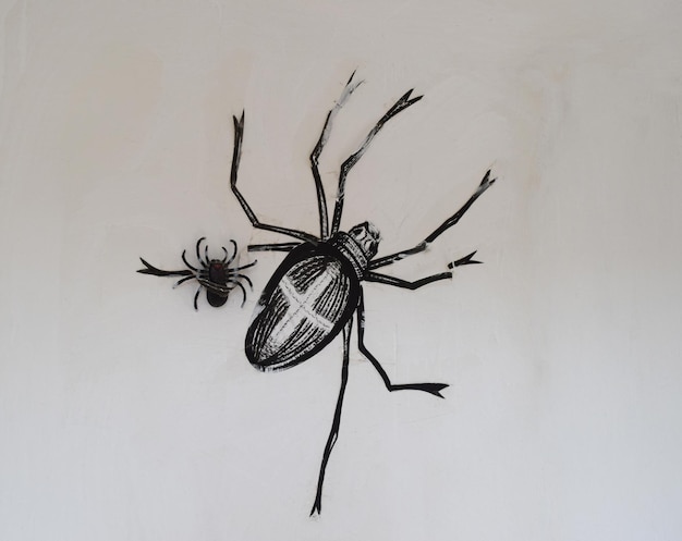Spinne auf einer weißen Wand Malerei Kunst auf der Wand