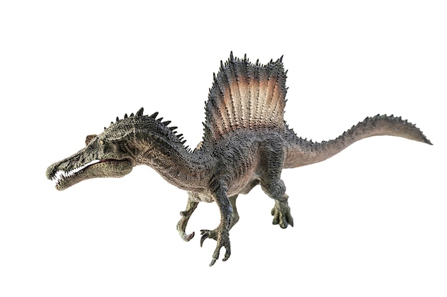 Spinosaurus-Dinosaurier auf weißem Hintergrund