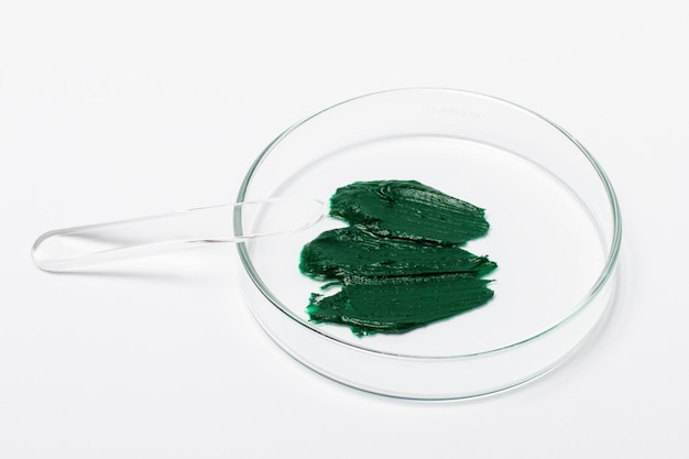 Spirulina-Maske oder Creme in einer Petrischale Spachtel Kosmetik transparent auf weißem Hintergrund