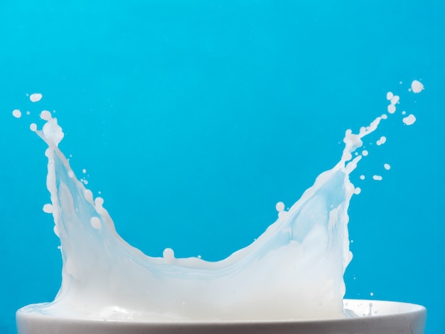Splash de leche de una taza sobre fondo azul.