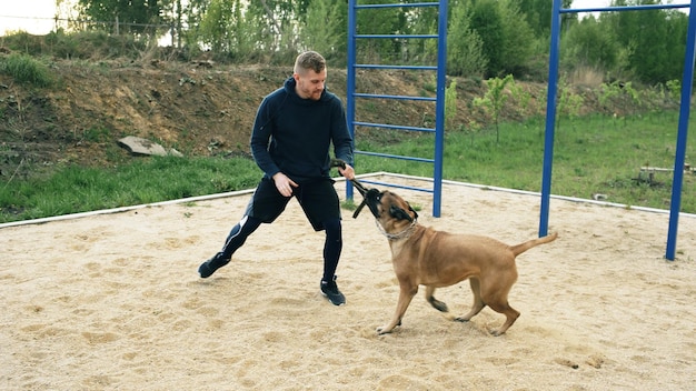 sportlicher Mann trainiert mit seinem Bullmastiff-Hund im Freien im Park und bereitet sein Haustier auf den Wettbewerb vor