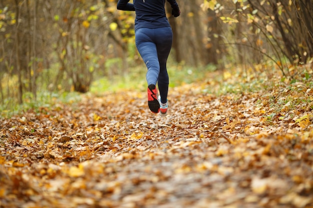 Sportswoman zapatillas corriendo por el bosque en otoño