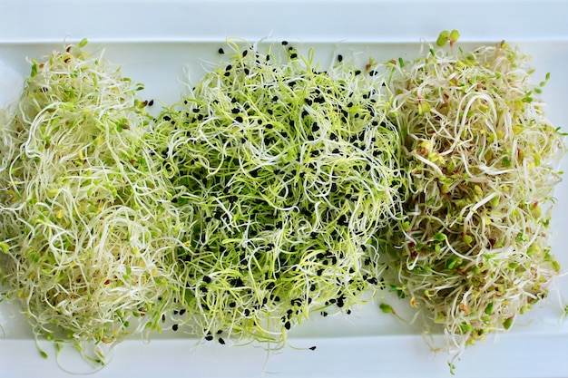 Foto sprießen sie alfalfa, zwiebeln und mischen sie salate