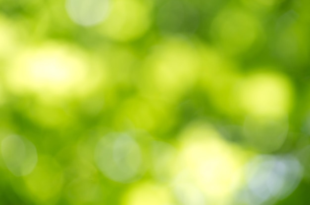 Spring bokeh background