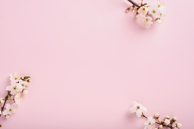 Spring Cherry Blossom Zusammenfassung Hintergrund der Makro-Kirschblüte Ast auf rosa Hintergrund Happy Pessach-Hintergrund Frühling Womens Day-Konzept Ostern Geburtstag Frauen oder Mütter Urlaub