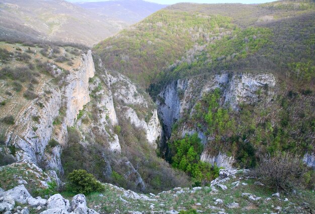 Spring Great Crimean Canyon com vista para a montanha com pinheiros na encosta