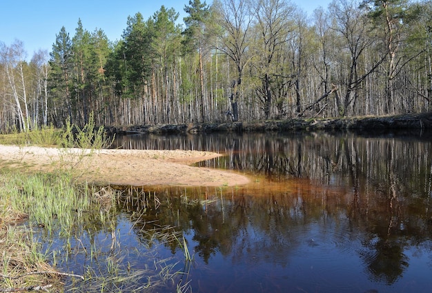 Spring River en la región de Ryazan de Rusia