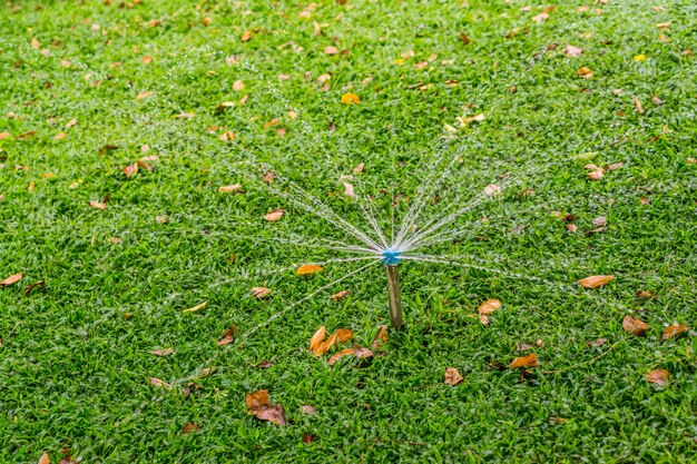 Springer, pulverização, água, ligado, grama verde