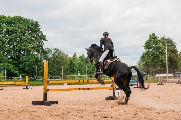 Springreiten Pferd und Reiter