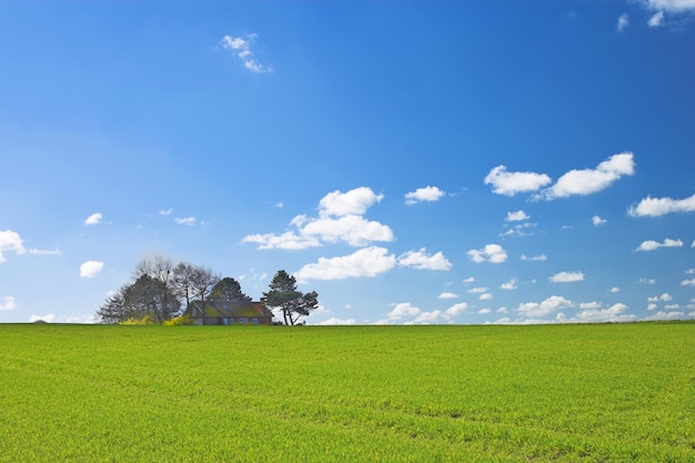 Springtime Cornfield Farmland y carretera en primavera mucho espacio para copiar