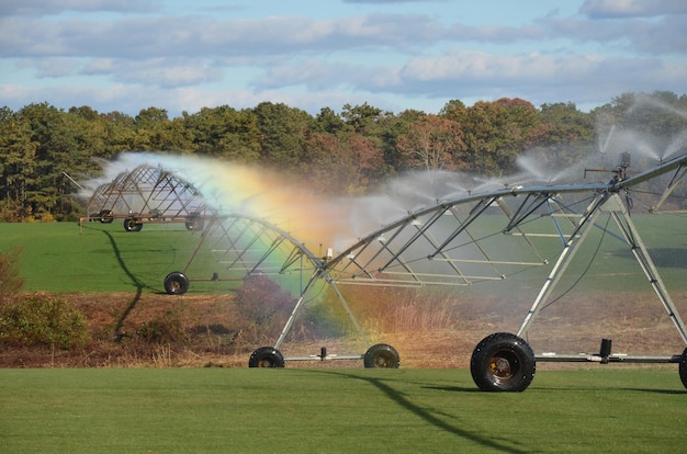 Foto sprinkler agrícola en el campo