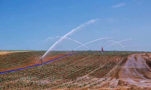 Foto sprinkler automático desmontável rega irrigando o campo do fazendeiro na primavera. sistema de irrigação por aspersão na agricultura