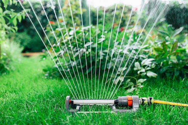 Sprinkler bewässert den Garten