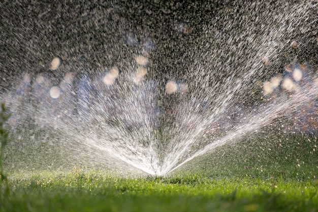 Sprinkler de plástico irrigando gramado com água no jardim de verão. Regar a vegetação verde cavando a estação seca para mantê-la fresca.