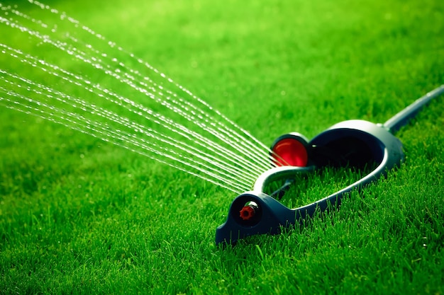 Foto sprinkler de relvado esterilizando água sobre grama verde