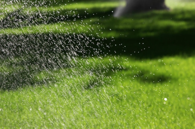 Sprinkler der automatischen Bewässerung