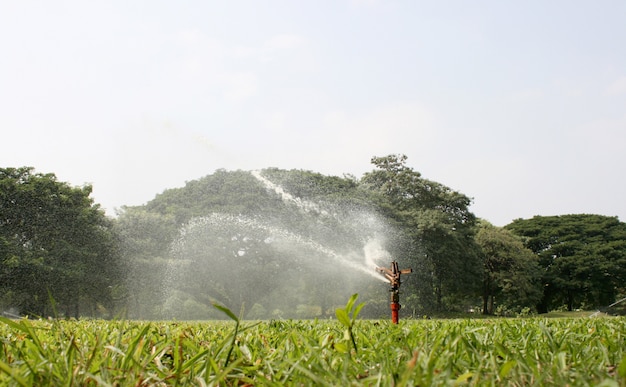 Sprinkler, der das Gras im Garten wässert