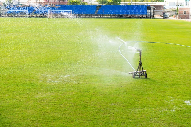 Sprinkler, der das Gras wässert