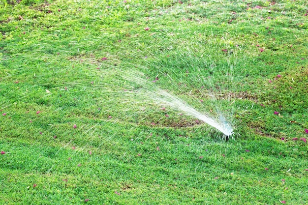 Sprinkler im Garten, der den Rasen wässert