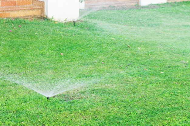 Sprinkler im Garten, der den Rasen wässert