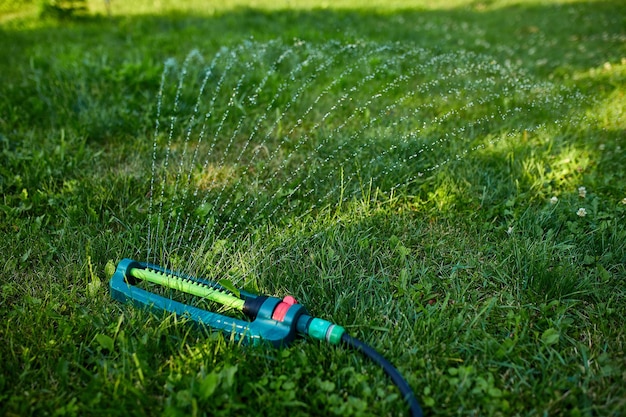 Sprinkler oscilante de jardim pulverizando água sobre a grama verde no quintal de casa, verão ou primavera