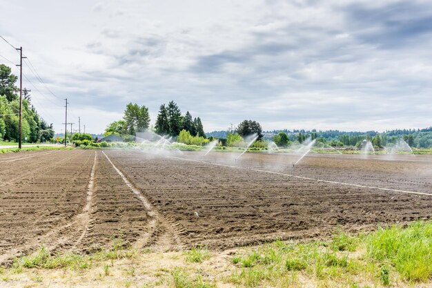 Sprinkler sprühen ein neues Feld in Kent Washington