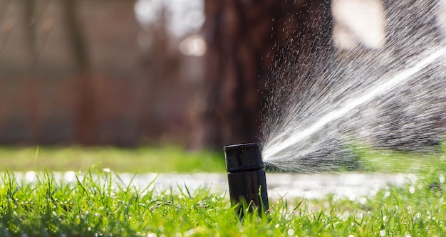 Sprinkler streut Wasser auf den Rasen. Automatisches Rasenbewässerungssystem. Platz für Text.