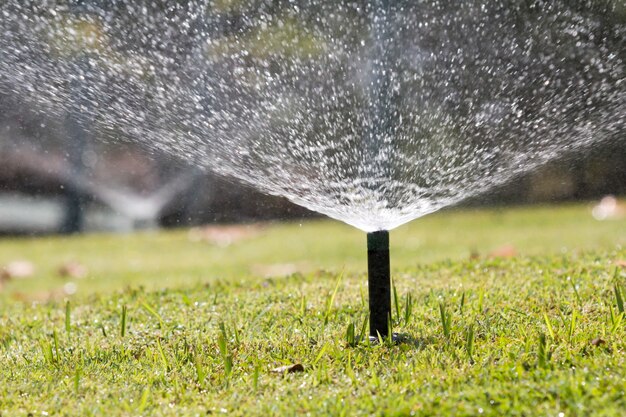 Sprinklerkopfbewässerung im Park.