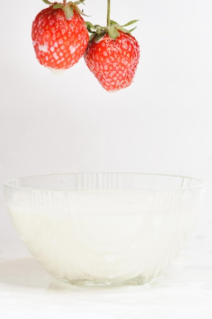 Spritzer Milch von fallenden Erdbeeren weißer Hintergrund